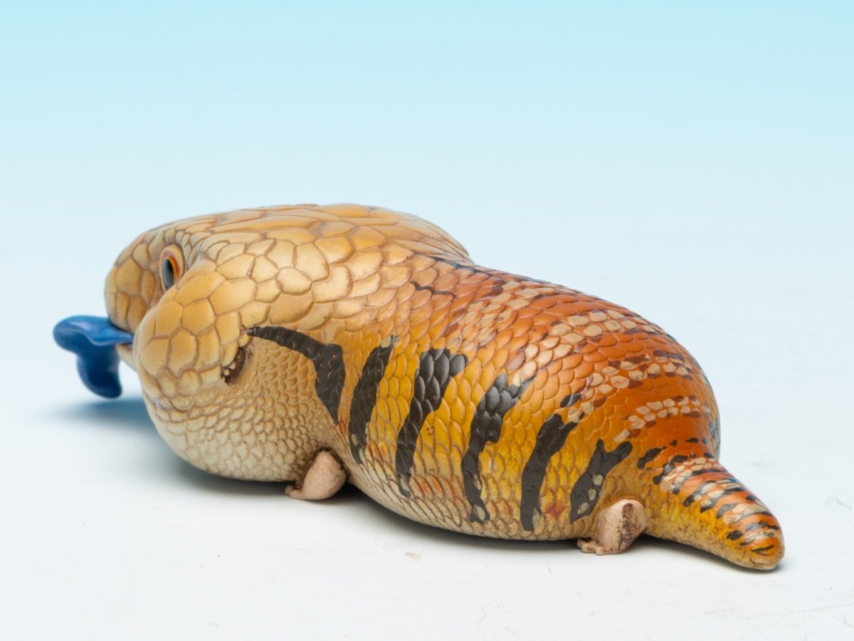 画像6: アオジタトカゲ (6)