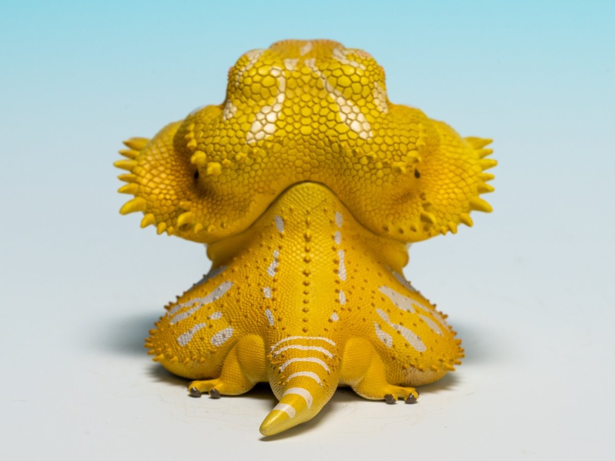 画像6: フトアゴヒゲトカゲ（黄色） (6)