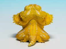 画像6: フトアゴヒゲトカゲ（黄色） (6)