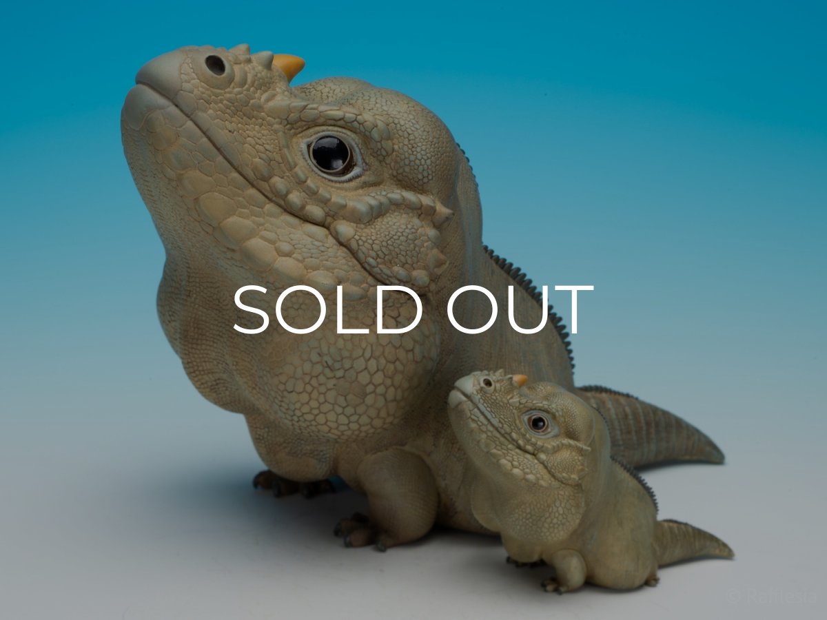 画像4:  サイイグアナ PLUS版 (4)