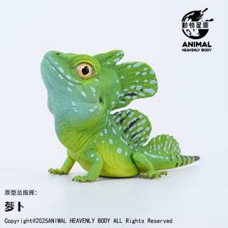 トカゲ - アジアアロワナ専門店ラフレシア