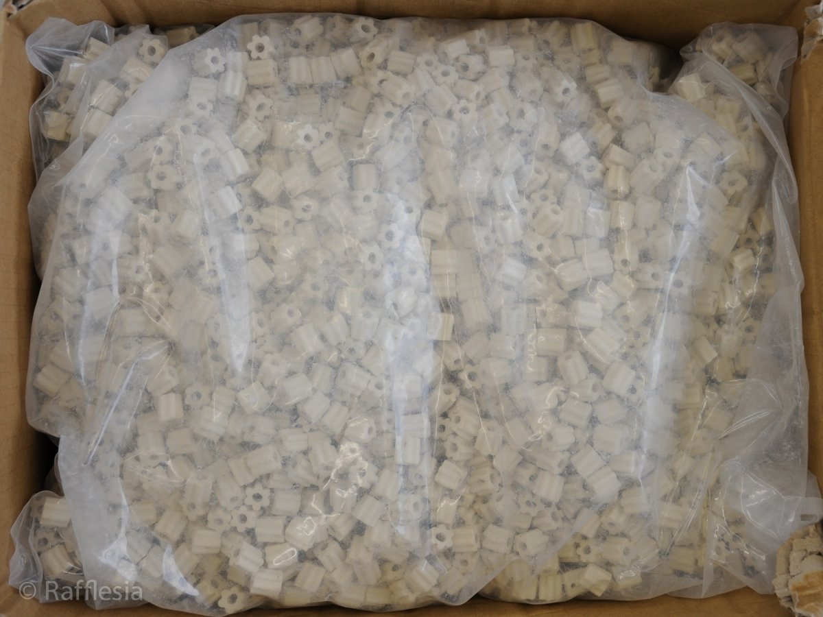 画像3: Rafflesiaオリジナル・多孔質ろ材 (3)