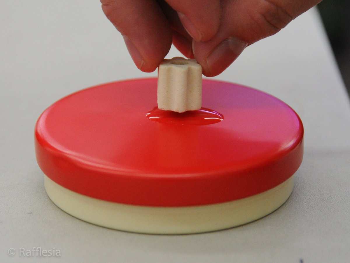 画像4: Rafflesiaオリジナル・多孔質ろ材 (4)