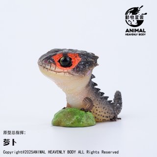 動物の惑星（トカゲ） - アジアアロワナ専門店ラフレシア