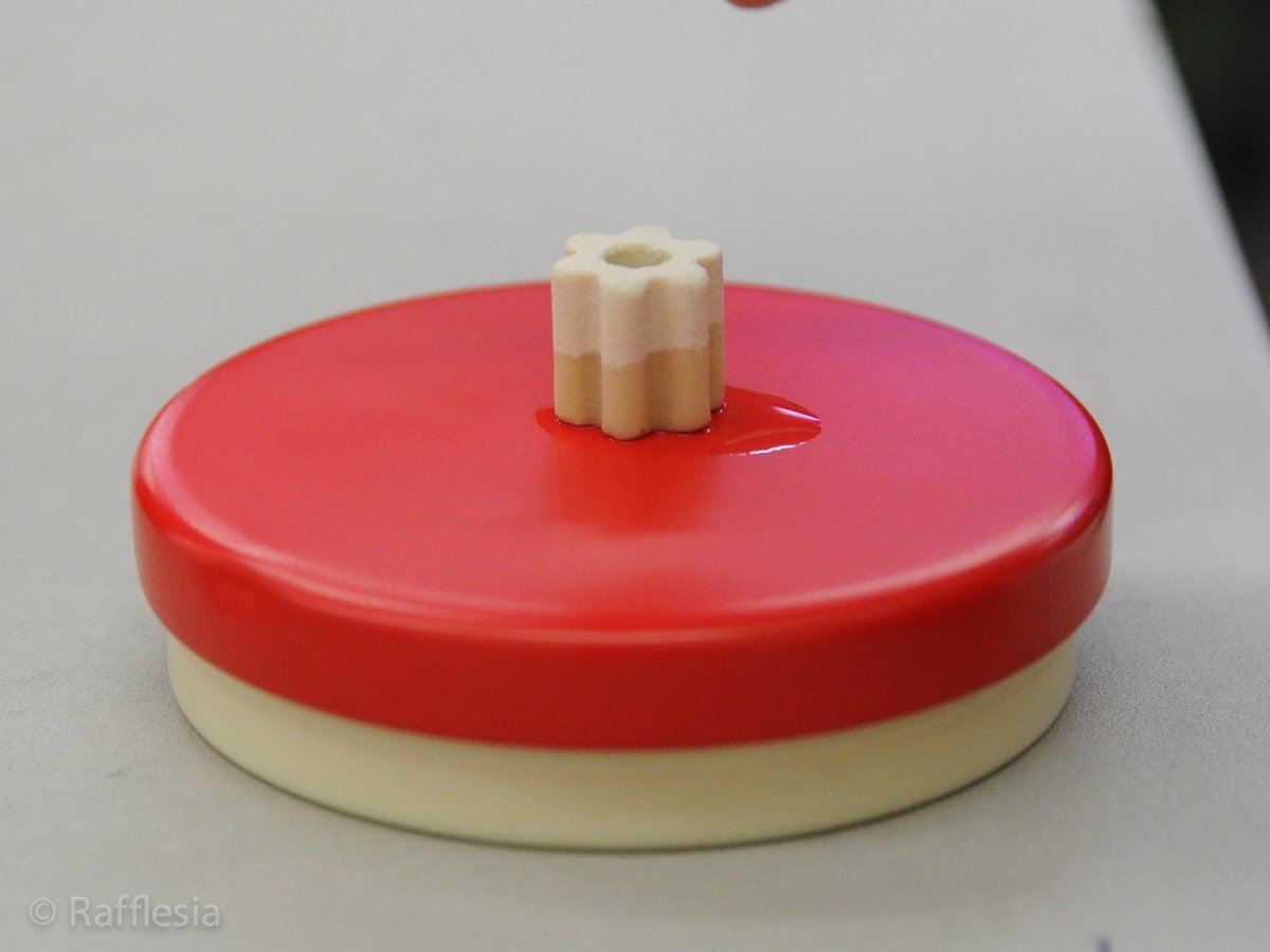 画像8: Rafflesiaオリジナル・多孔質ろ材 (8)