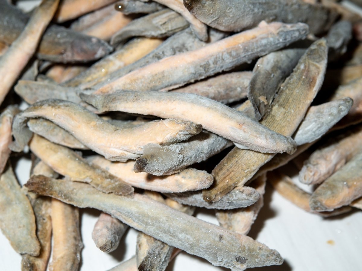 画像3: バラ冷凍ドジョウ（500g） (3)