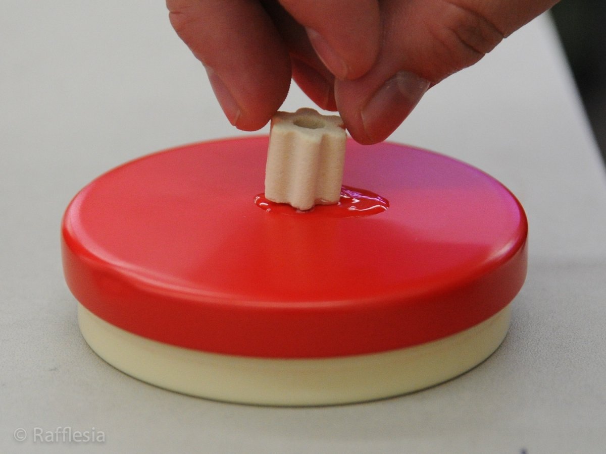 画像5: Rafflesiaオリジナル・多孔質ろ材 (5)