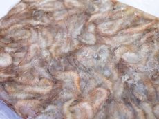 画像3: 冷凍エビ（Sサイズ）500ｇ (3)