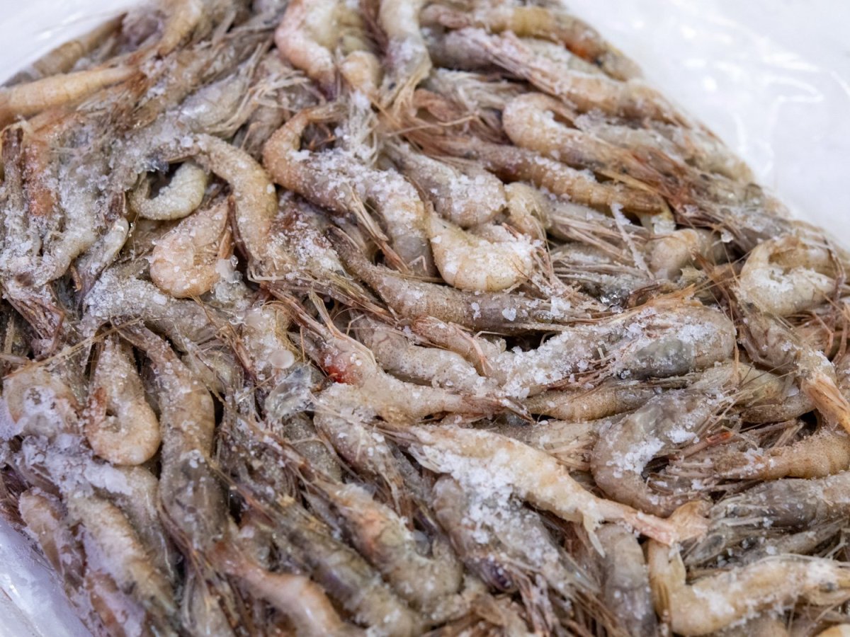 画像2: 冷凍エビ（Sサイズ）500ｇ (2)