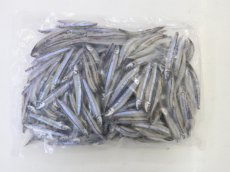 画像1: 冷凍キビナゴ（１ｋｇ） (1)