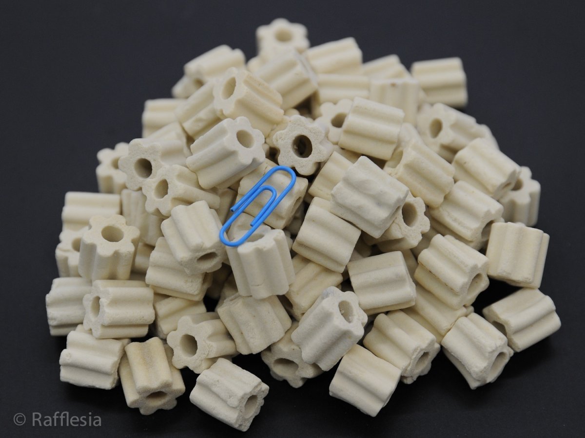 画像2: Rafflesiaオリジナル・多孔質ろ材 (2)