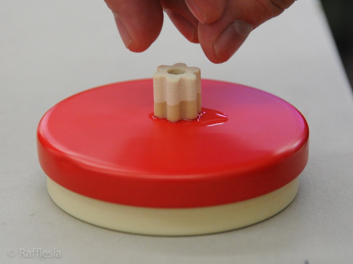 画像7: Rafflesiaオリジナル・多孔質ろ材 (7)