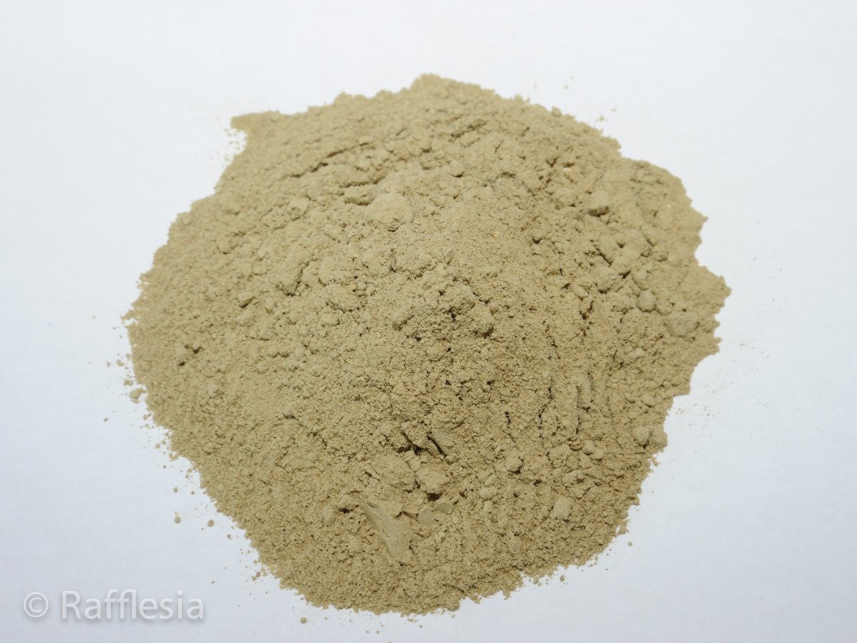 画像2: 爬虫類牧場パウ「コオロギ・ミルワームの餌」 (2)