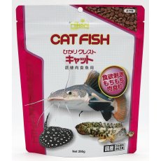 画像1: ひかりクレスト　キャット (1)