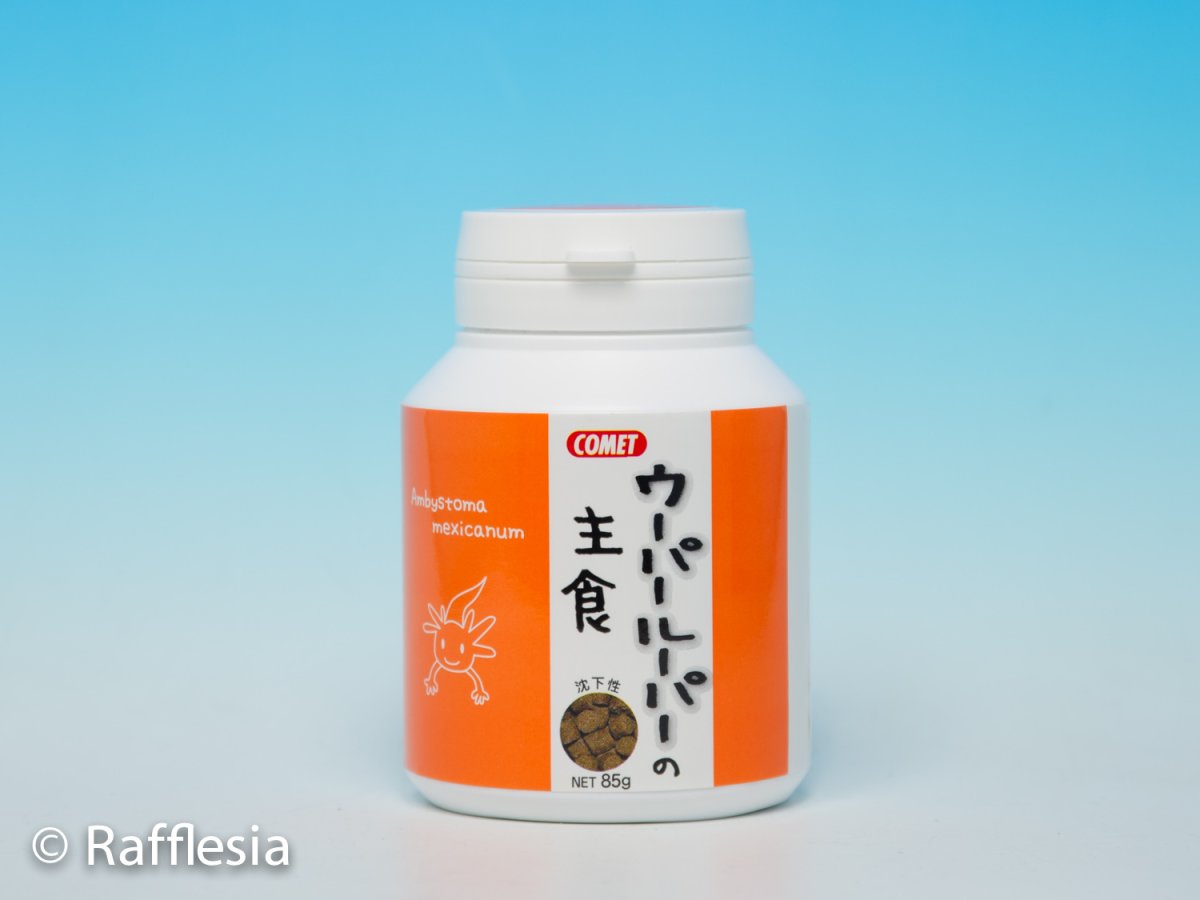 画像1: ウーパールーパーの主食 (1)