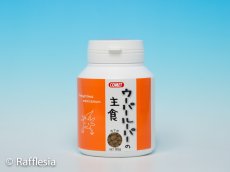 画像1: ウーパールーパーの主食 (1)