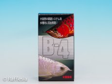 画像1: B-４【パピエ・シー】 (1)