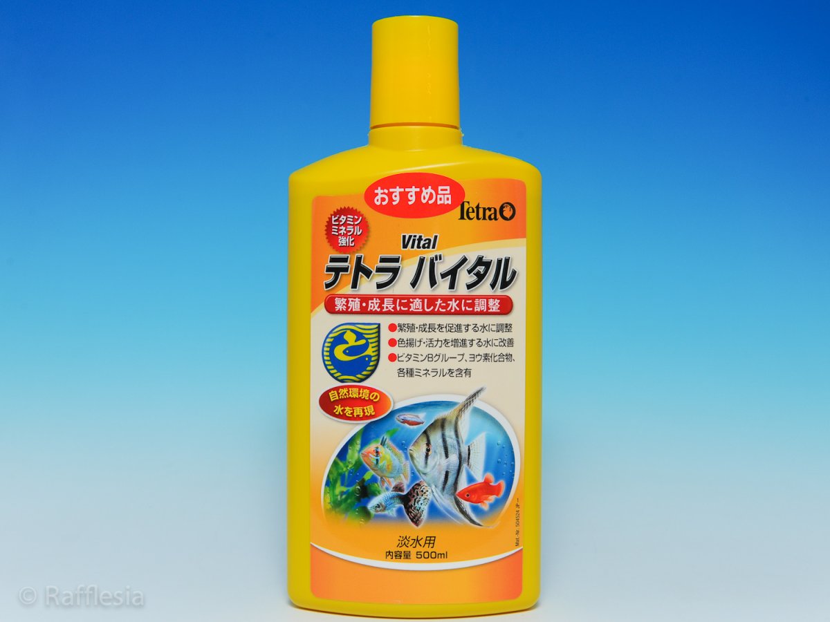 画像1: バイタル　500ml (1)