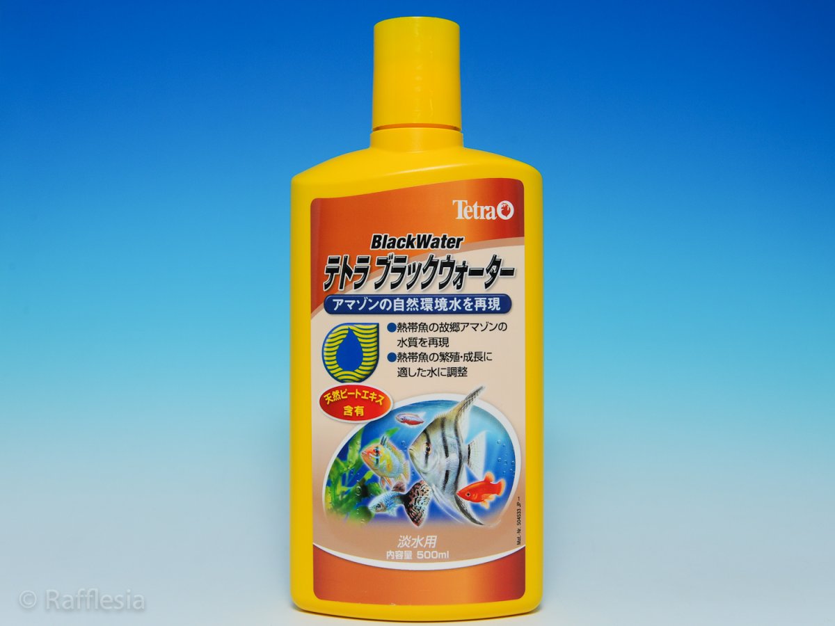画像1: ブラックウォーター　500ml (1)