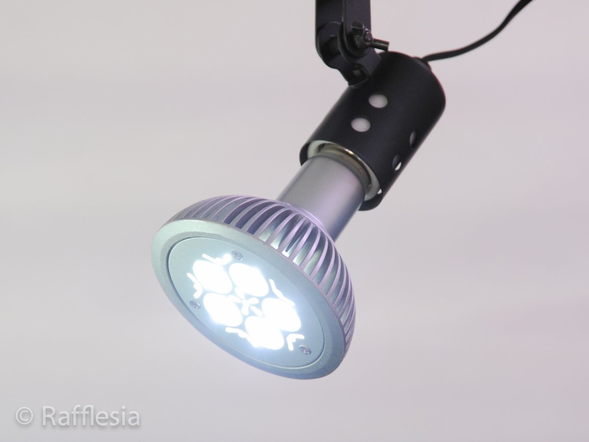 画像7: ファインスポットLED（１０Ｗ） (7)