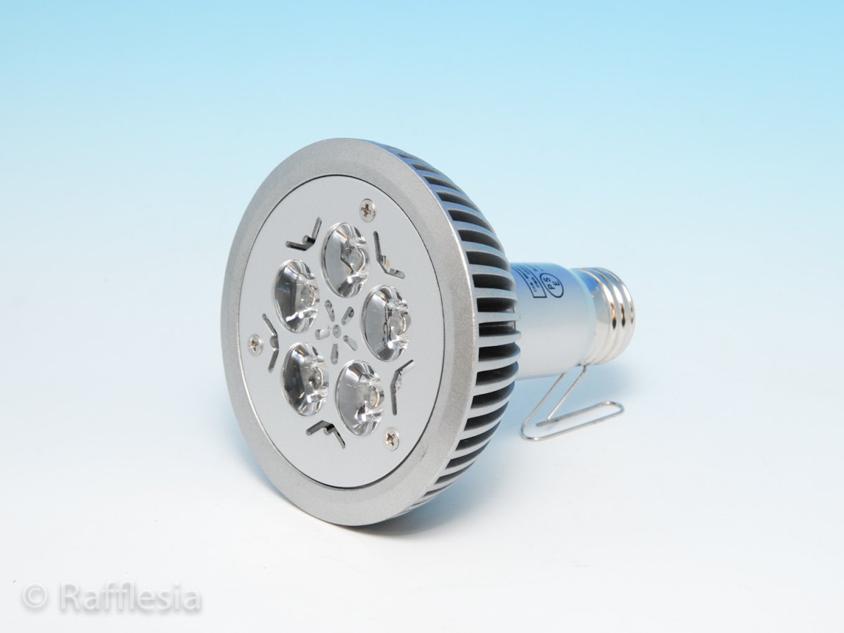 画像4: ファインスポットLED（１０Ｗ） (4)