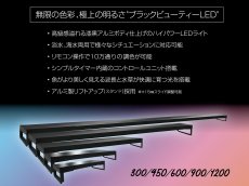 画像1: Viiita (ヴィータ) (1)