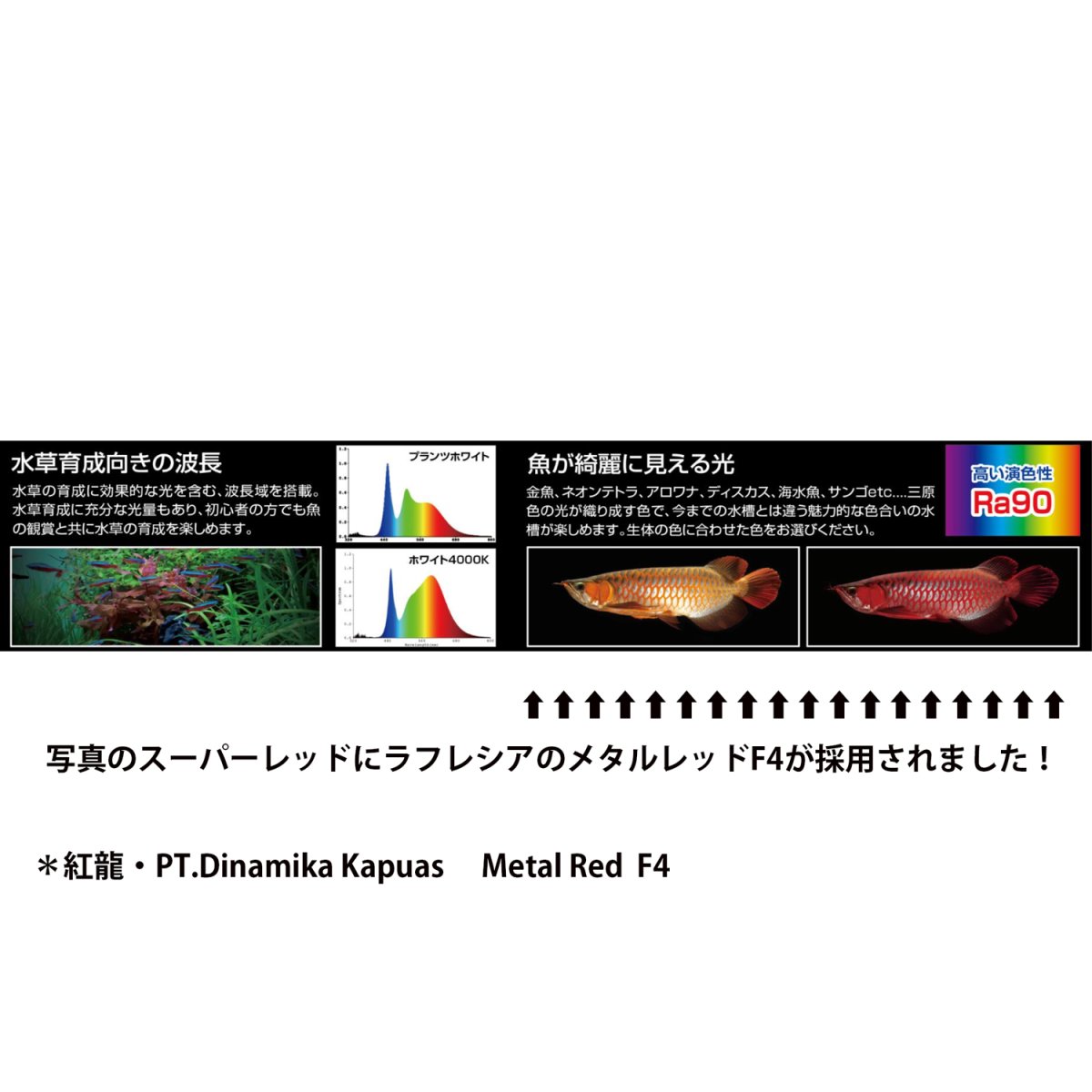 画像3: 水中マルチカラーLED (3)