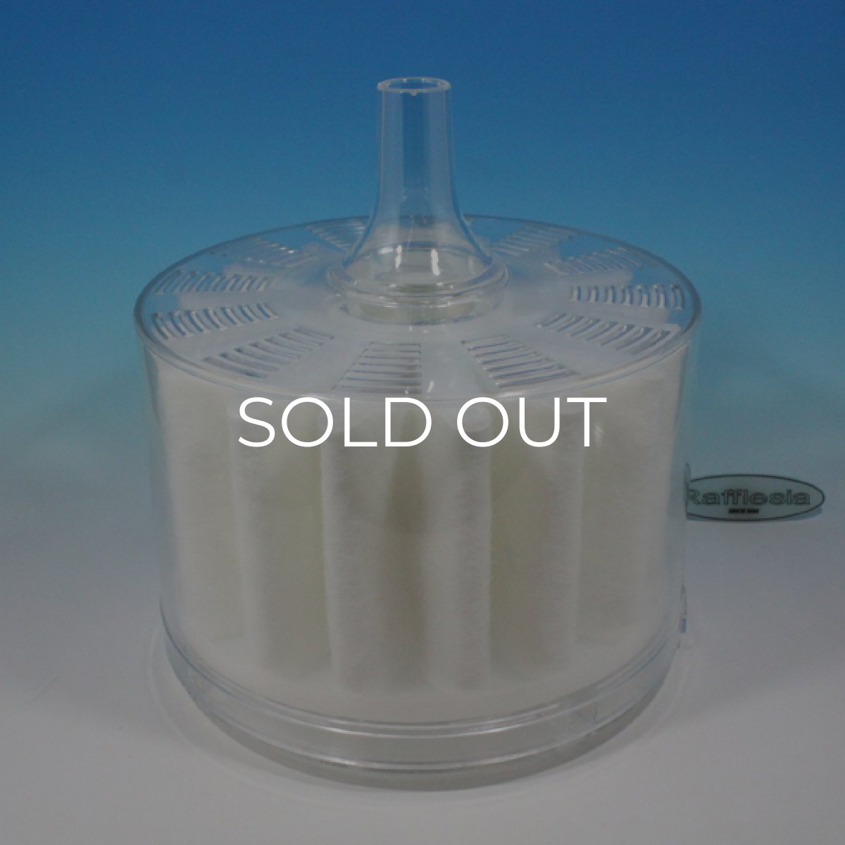 画像2: 水作　ジャンボ (2)