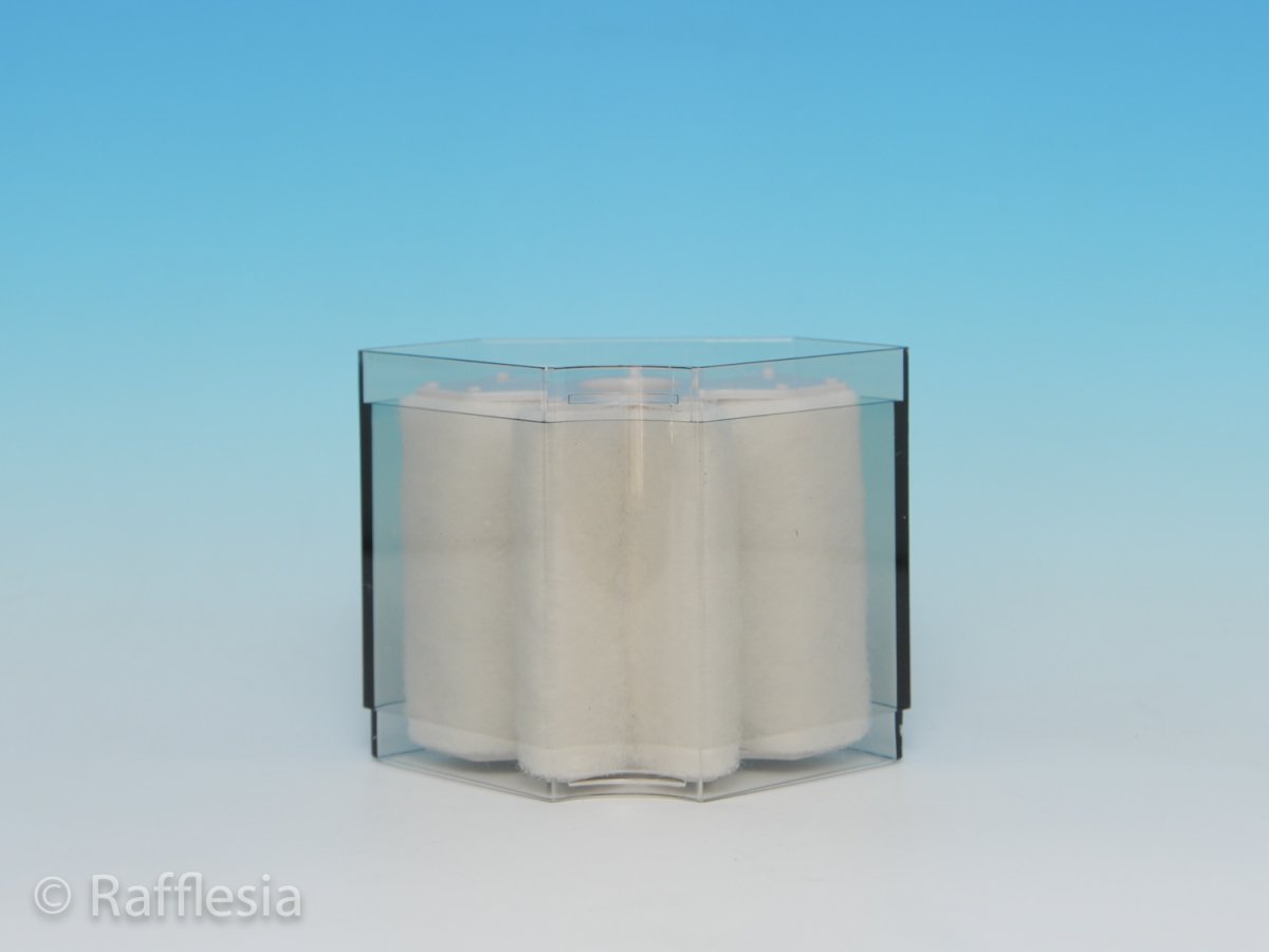 画像2:  スペースパワーフィット[PRO]Ｌ 追加ユニット (2)