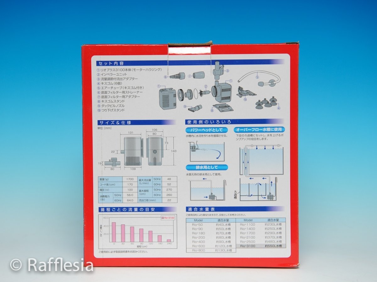 画像3: Rioプラス　3100 (3)