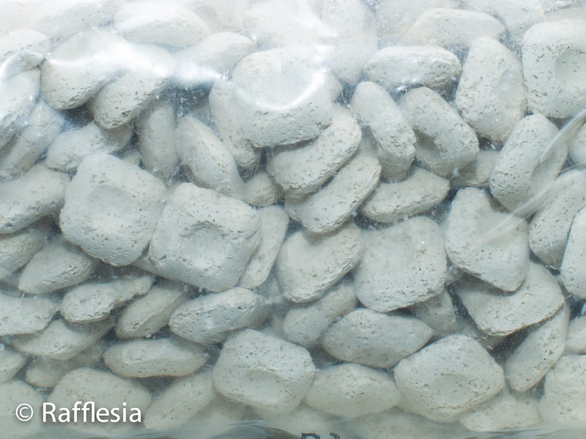 画像2: エーハイム　バイオメック (2)