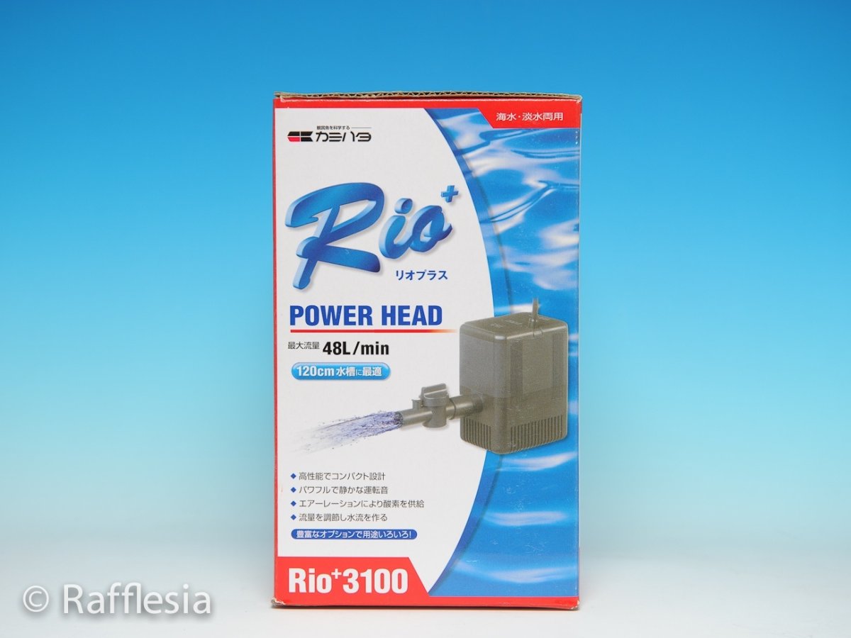 画像2: Rioプラス　3100 (2)