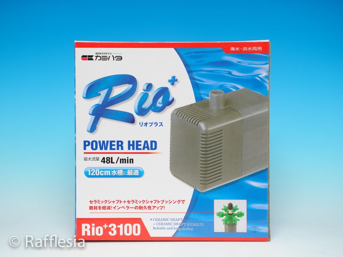 画像1: Rioプラス　3100 (1)