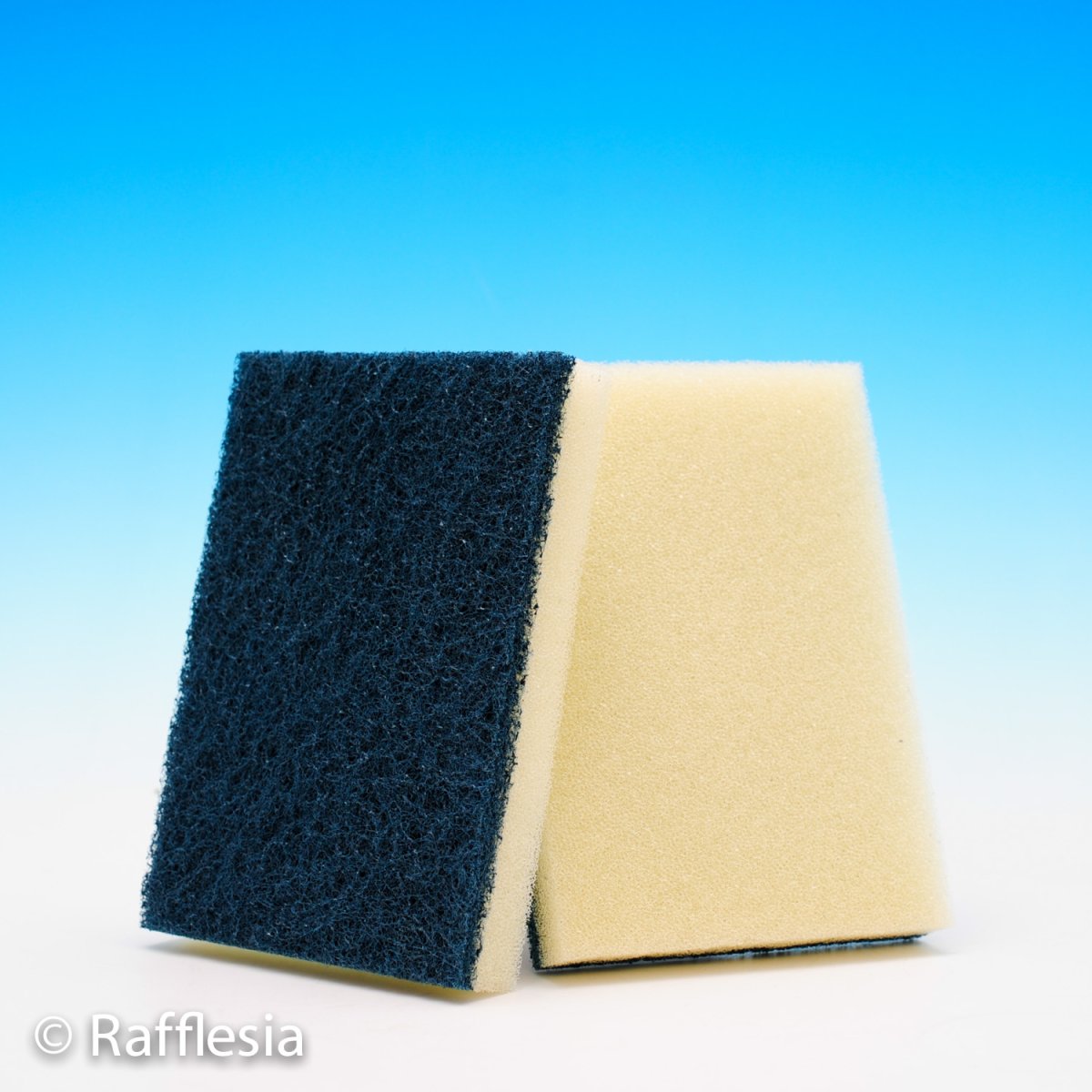 画像2: ガラス水槽磨き (2)