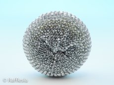 画像2: 苔取る君（小） (2)