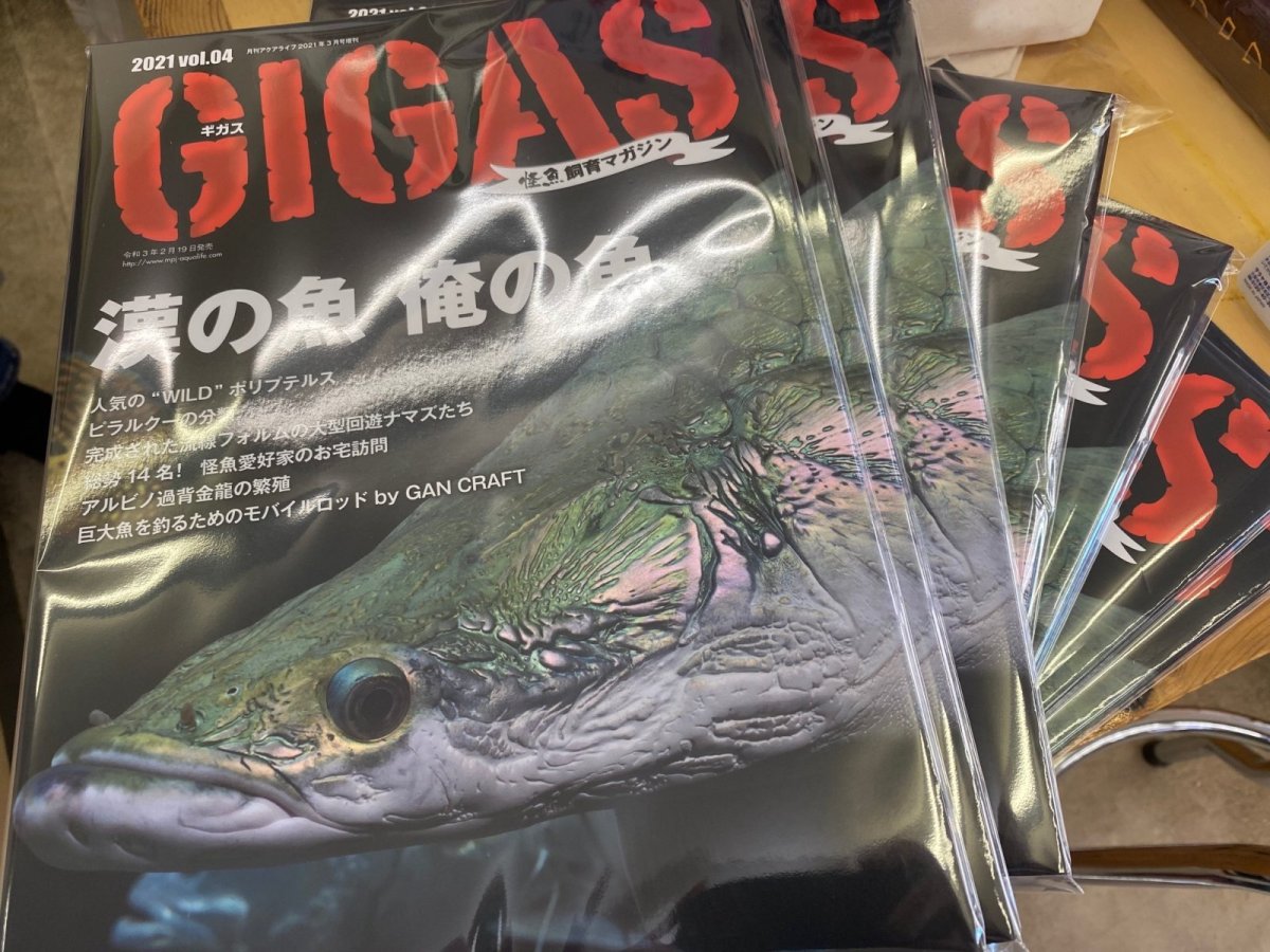 画像1: GIGAS　Vol.4 (1)