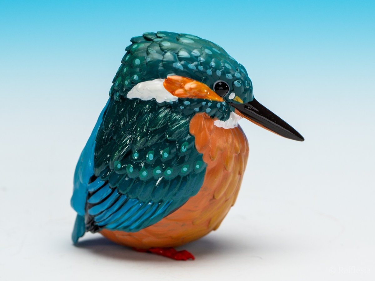 画像6: カワセミ (6)