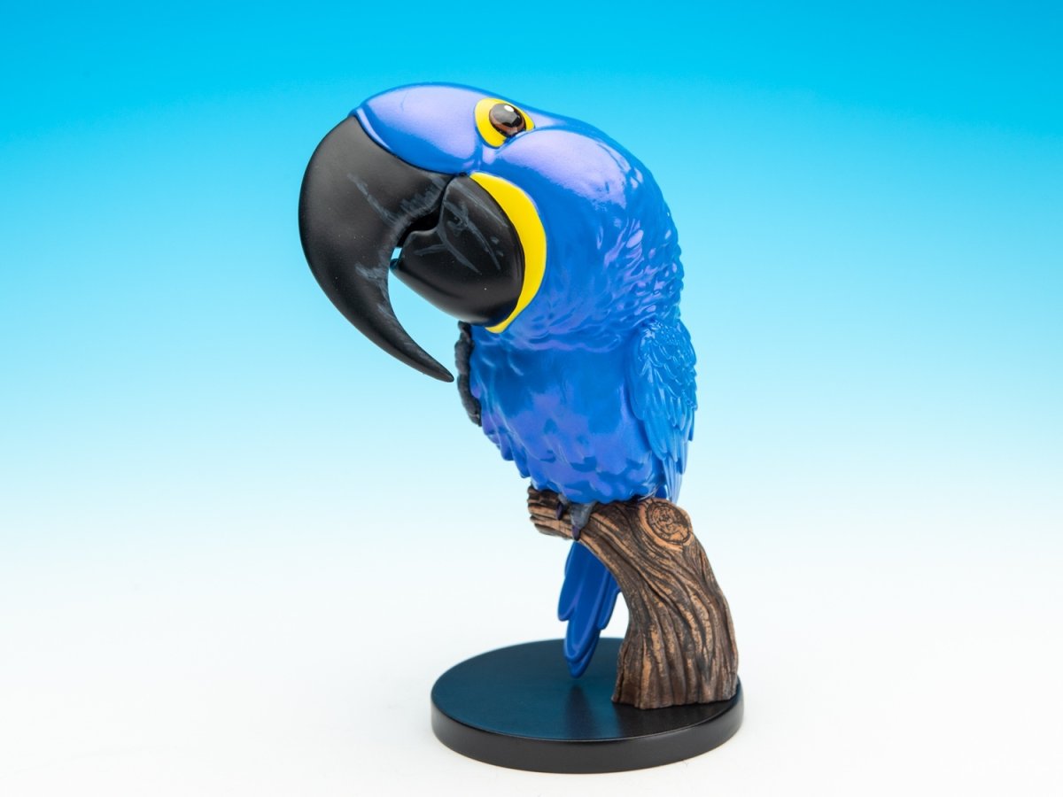 画像1: スミレコンゴインコ (1)