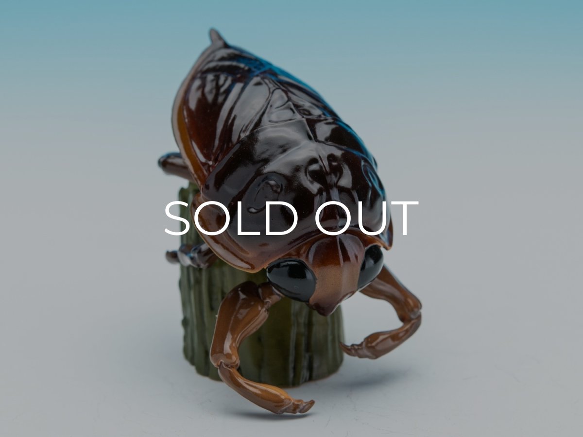 画像2: タガメ (2)