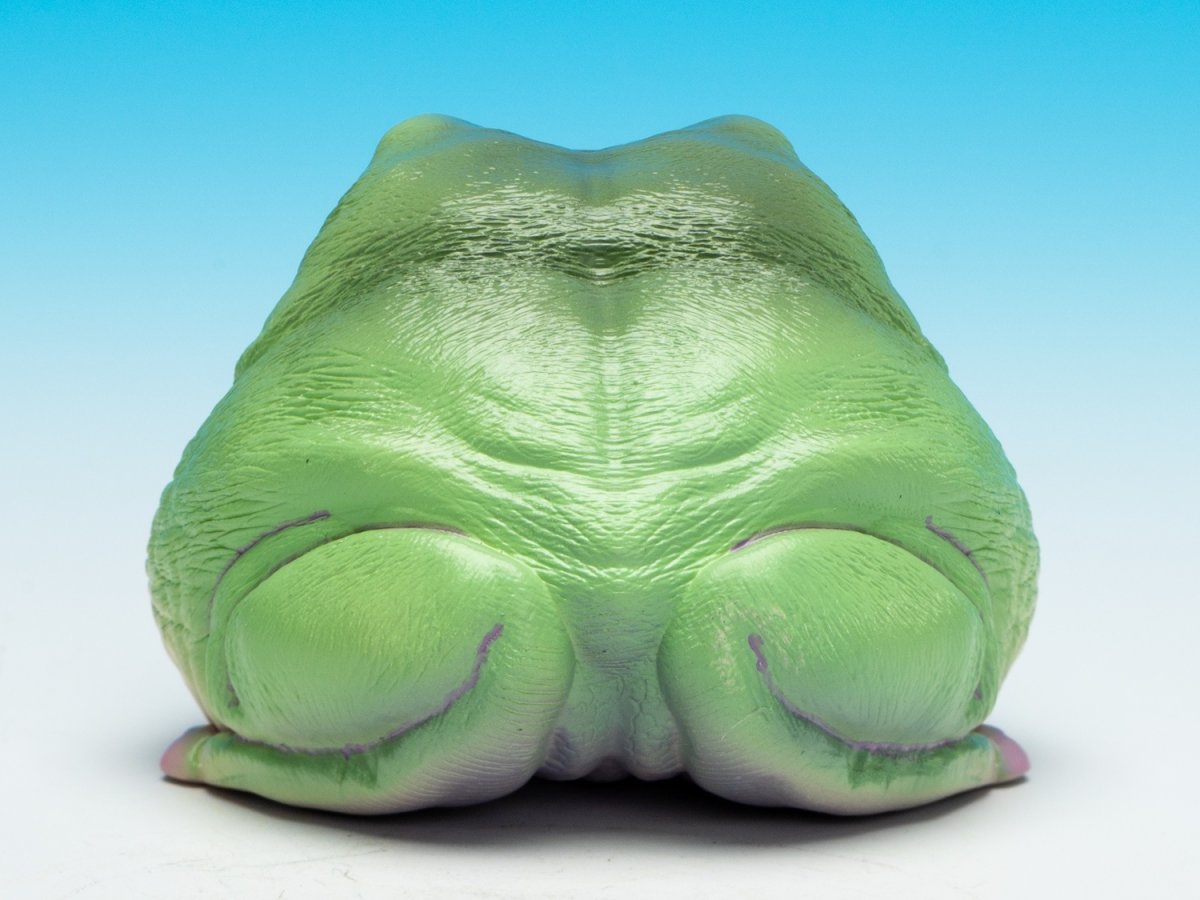 画像7: イエアメガエル（爺さん） (7)