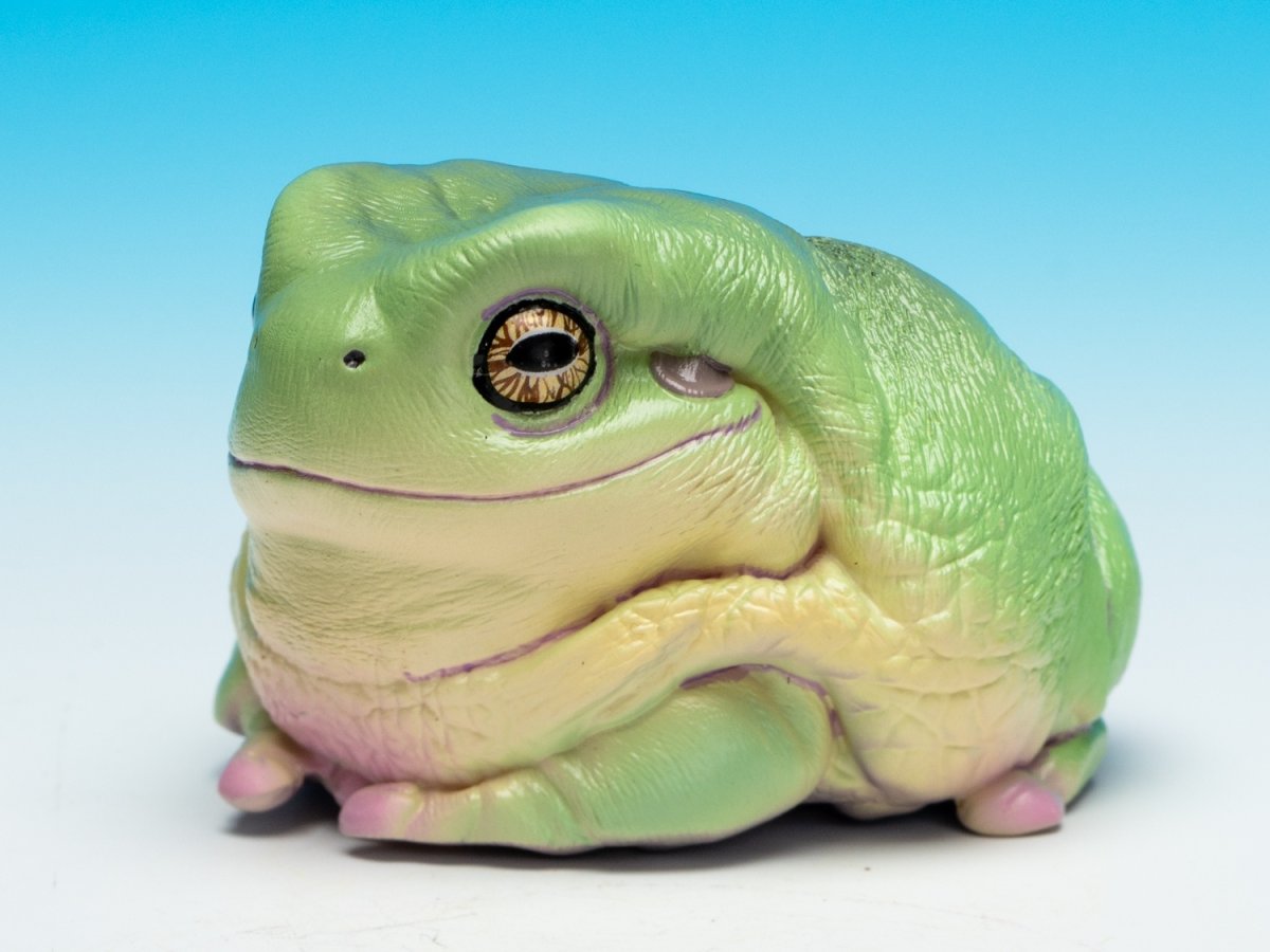 画像4: イエアメガエル（爺さん） (4)