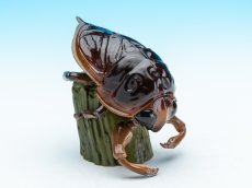 画像1: タガメ (1)