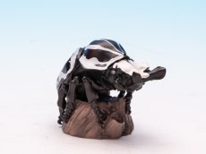 画像1: ゴライアスオオツノハナムグリ (1)