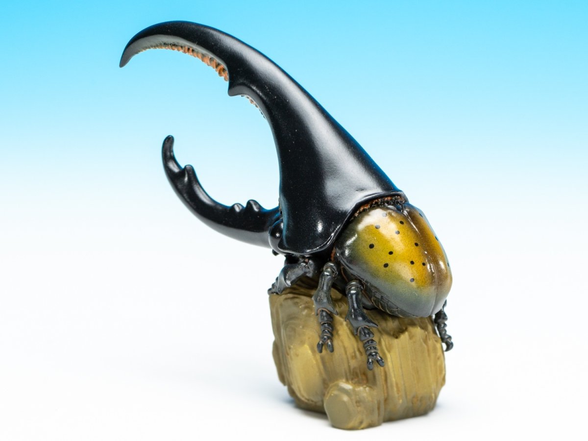 画像6: ヘラクレスオオカブト（黄） (6)