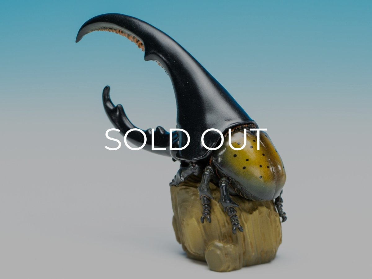 画像6: ヘラクレスオオカブト（黄） (6)