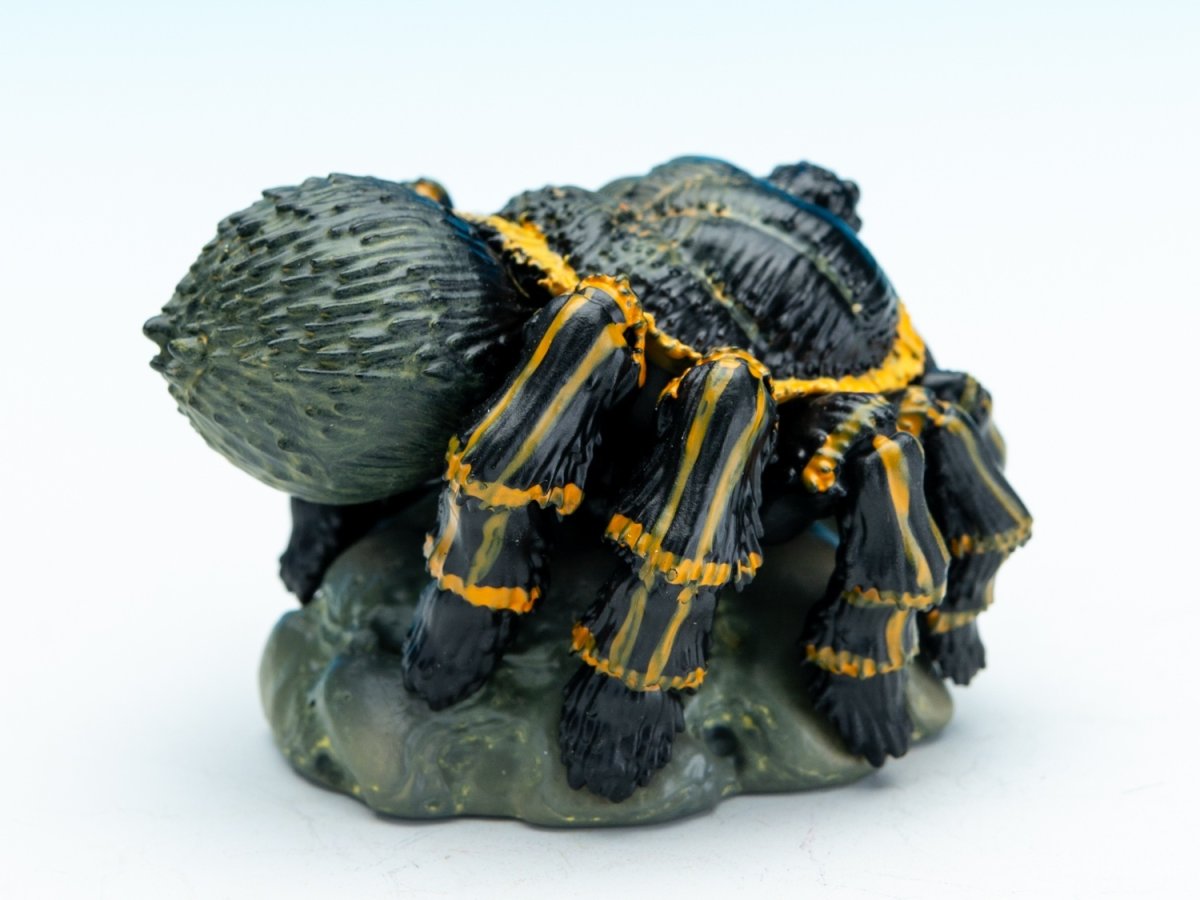 画像7: ブラジリアンジャイアントブロンド【動画あり】 (7)