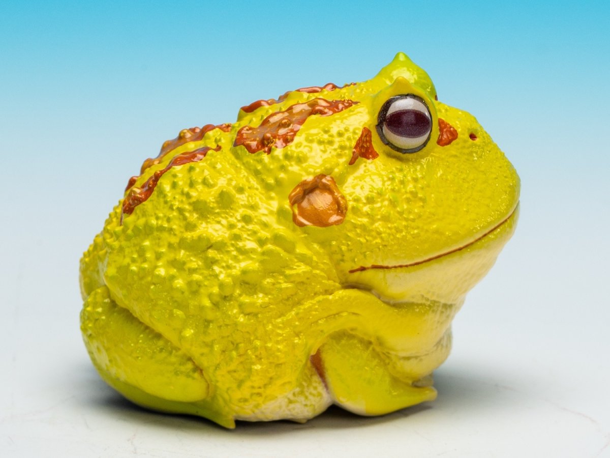 画像9: クラウンウェルツノガエル（ピカチュウ） (9)