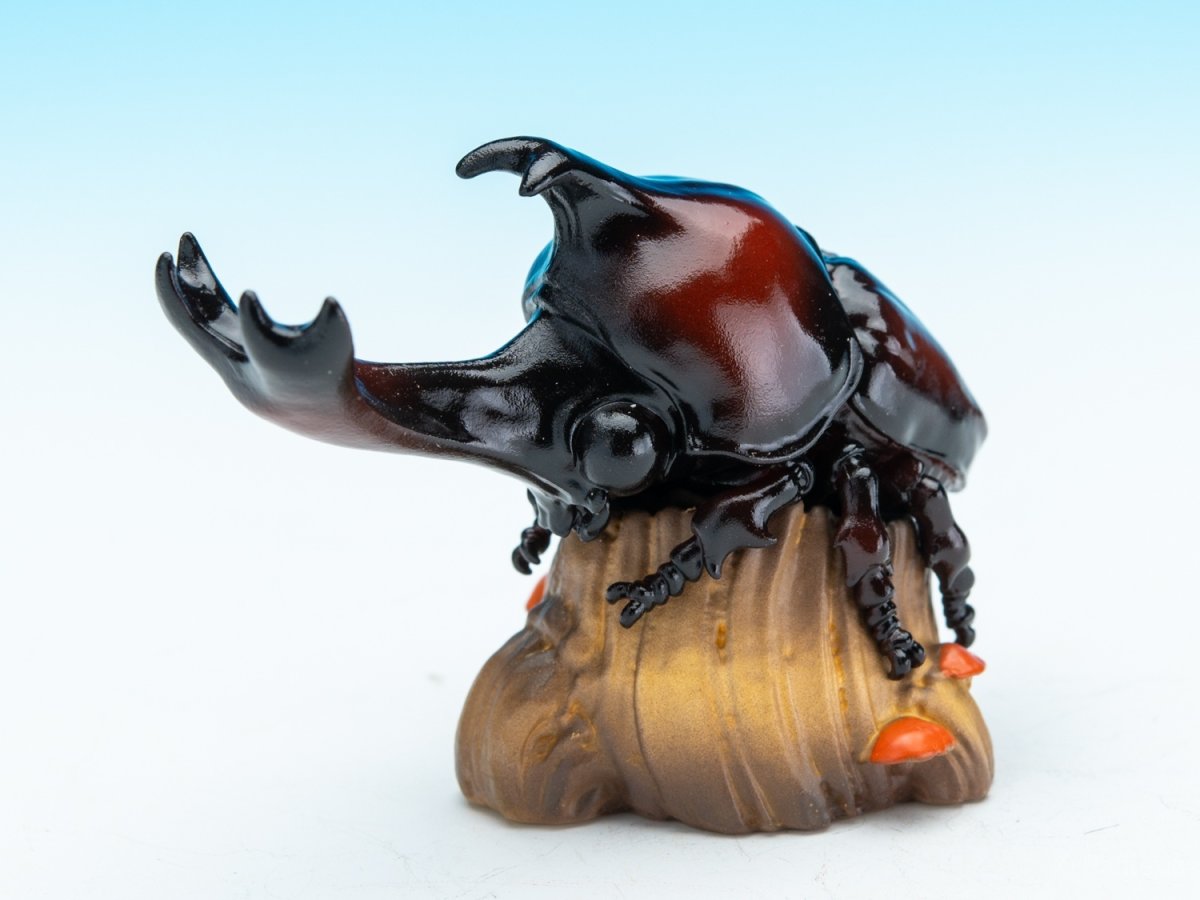 画像1: カブトムシ (1)