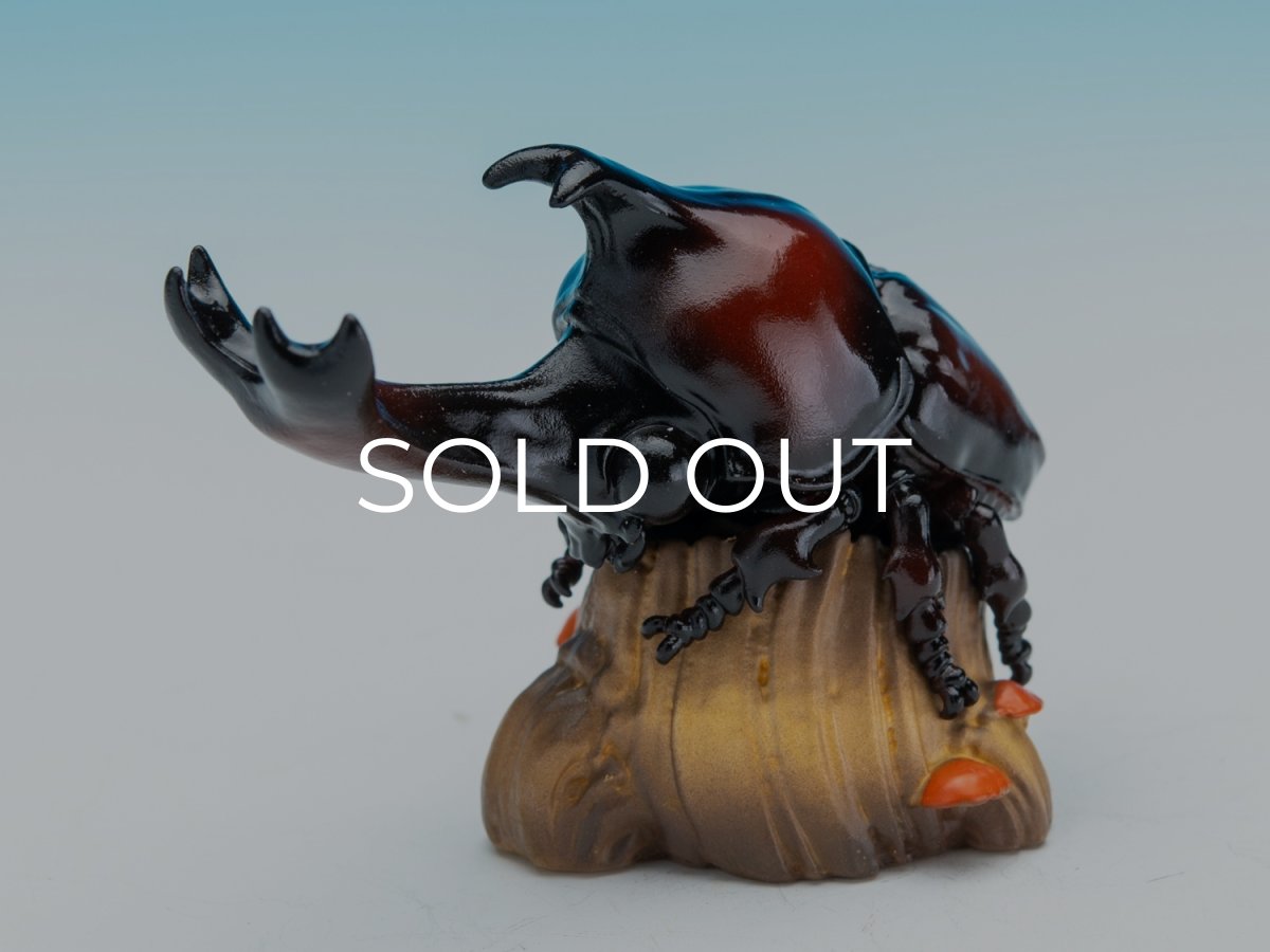 画像1: カブトムシ (1)