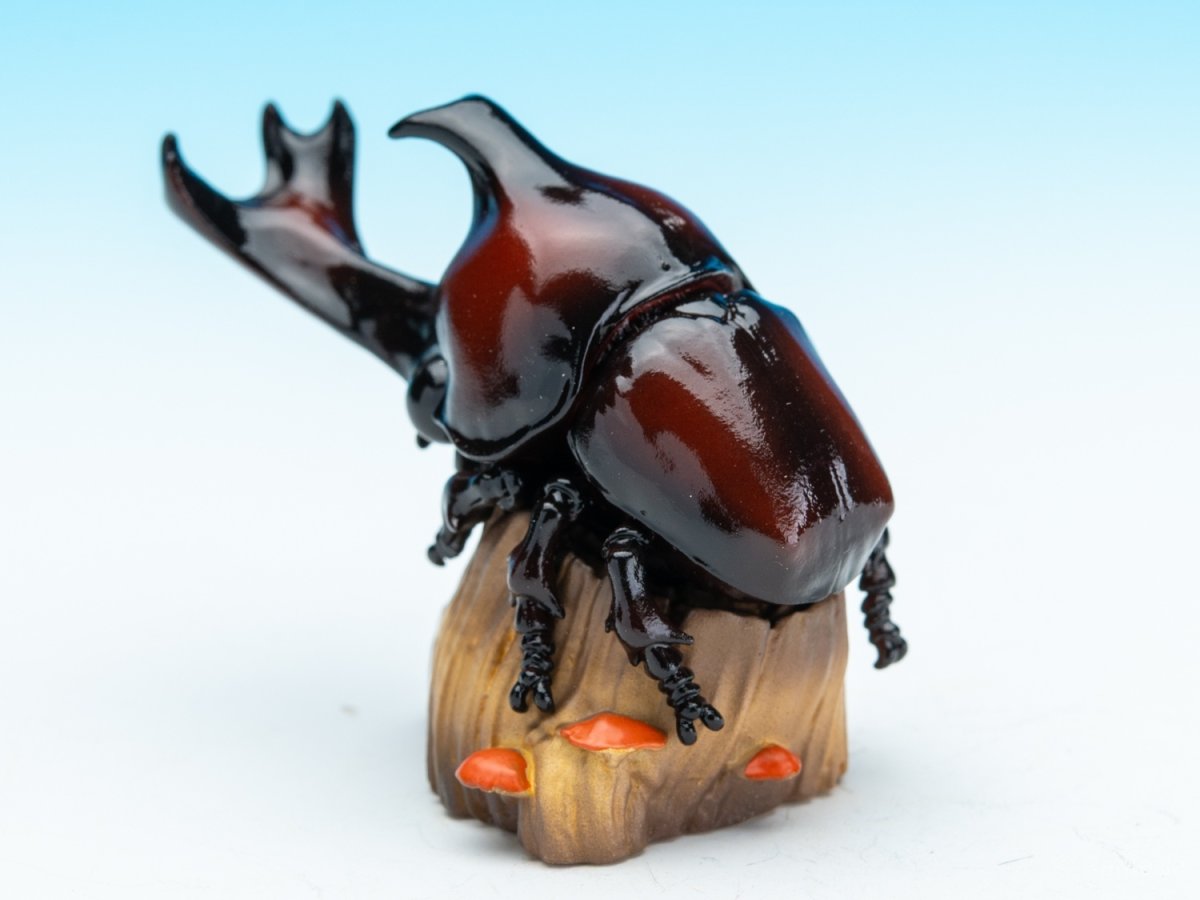 画像3: カブトムシ (3)